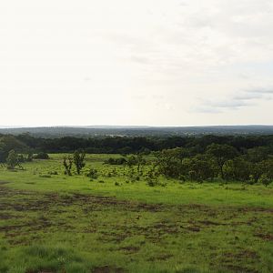 Mbari Plateau in CAR with Central African Wildlife Adventures