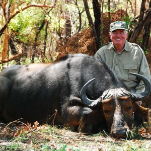 Mixed color Buffalo hunted in CAR with Central African Wildlife Adventures