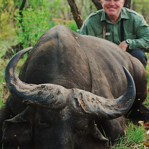 34 inch spread old Buffalo hunted in CAR with Central African Wildlife Adve