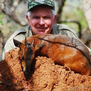 Red Flanked Duiker hunted in CAR with Central African Wildlife Adventures
