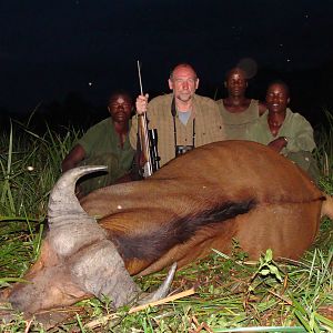 Red Buffalo hunted in CAR with Central African Wildlife Adventures