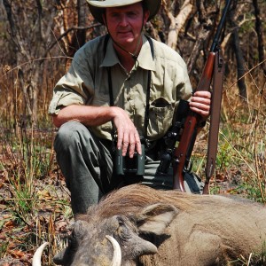 Warthog hunted in CAR with Central African Wildlife Adventures