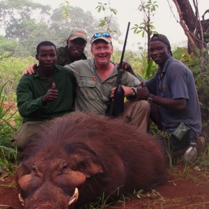 Very old Giant Forest Hog hunted in CAR with Central African Wildlife Adven