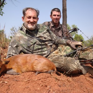 Red Flanked Duiker bowhunted in CAR with Central African Wildlife Adventure
