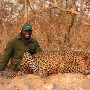 Leopard hunted in CAR with Central African Wildlife Adventures