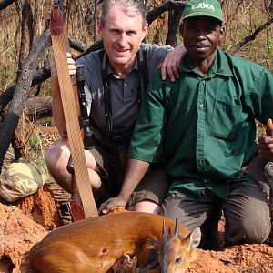 Red Flanked Duiker hunted in CAR with Central African Wildlife Adventures