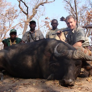 Buffalo hunted in CAR with Central African Wildlife Adventures