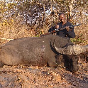 Buffalo hunted in CAR with Central African Wildlife Adventures