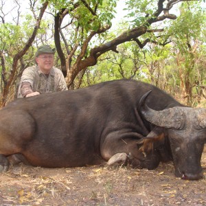 Buffalo hunted in Central African Republic with CAWA