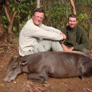 Yellow Back Duiker hunted in CAR with Central African Wildlife Adventures