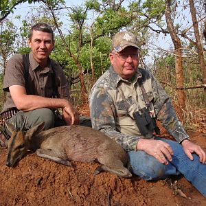Bush Duiker hunted in CAR with Central African Wildlife Adventures