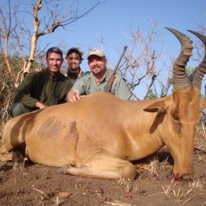 Hartebeest hunted in CAR with Central African Wildlife Adventures