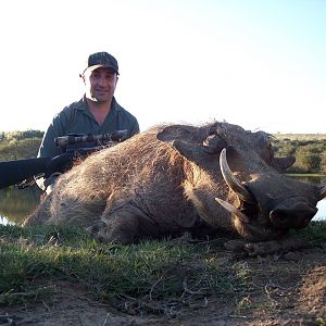 Hunting Warthog with KMG Hunting Safaris