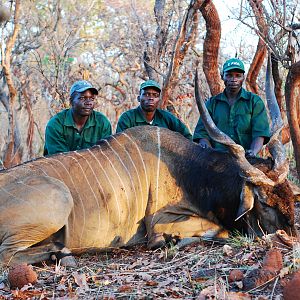 Lord Derby Eland hunted in Central African Republic with CAWA