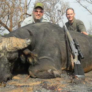 Buffalo hunted in Central African Republic with CAWA