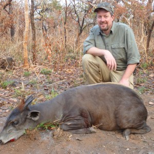 Yellow Back Duiker hunted in CAR with CAWA