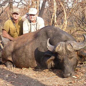 Buffalo hunted in Central African Republic with CAWA