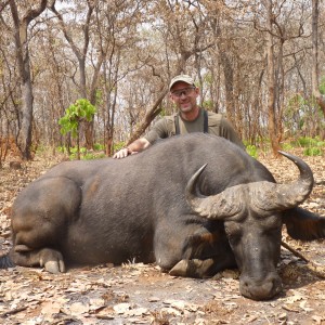 Buffalo hunted in Central African Republic with CAWA