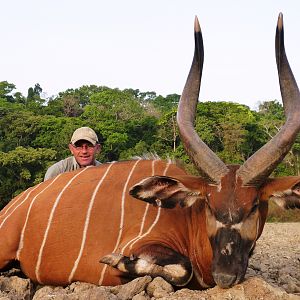 Bongo hunted in CAR with Central African Wildlife Adventures