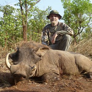 Warthog hunted in Central African Republic with CAWA