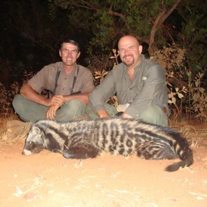 Civet Cat hunted in Central African Republic with CAWA