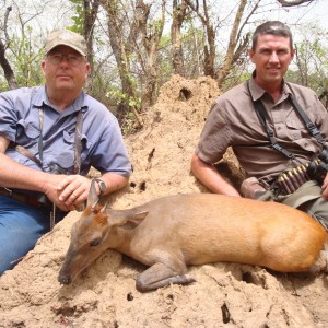 Weyns Duiker hunted in CAR with CAWA