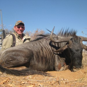 Blue Wildebeest hunted with Cruiser Safaris