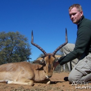 Impala Limpopo South Africa