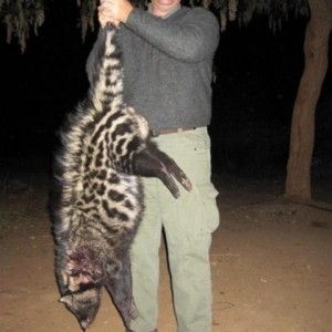 Civet Hunt in Save Valley Conservancy Zimbabwe