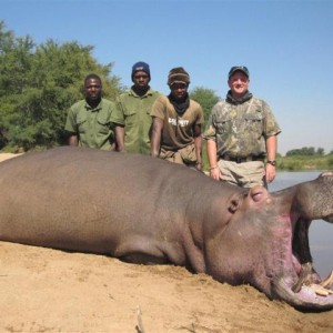 Hippo Hunt in Save Valley Conservancy Zimbabwe