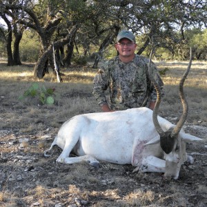 Addax 2011