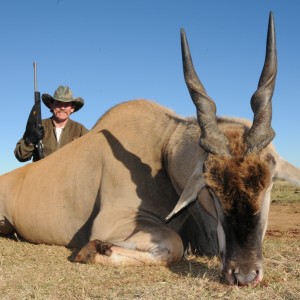 Eland from our 2009 Safari