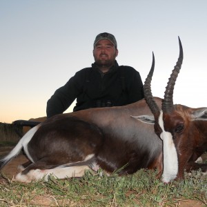 Bontebok