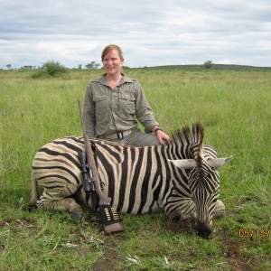 Burchell  Zebra with Kowas Hunting Safaris