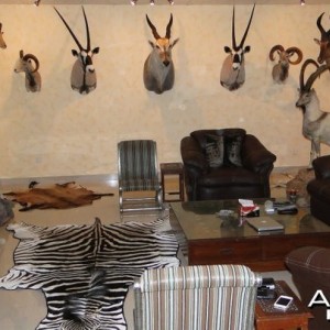 My trophy room