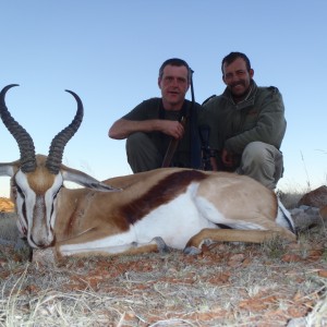 Kalahari springbuck