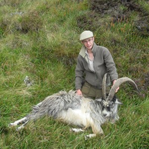 Hunting Scottish Goats in the Scottish Mountains
