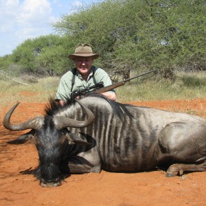 Blue Wildebeest South Africa