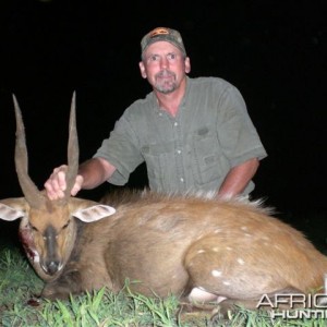 Bushbuck