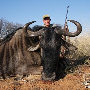 Blue Wildebeest hunted in Namibia