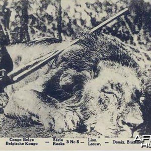 Lion Hunt in Belgian Congo