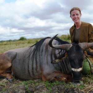 Hunting Nyasaland Wildebeest in Tanzania