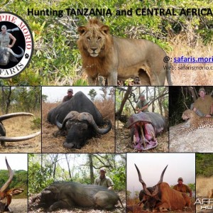 Hunting Safaris in CAR & Tanzania with Christophe Morio