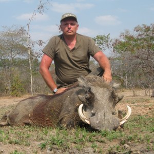 12 inch Warthog hunted in Tanzania