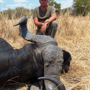 Buffalo shot at 20 meter in a herd... Tanzania