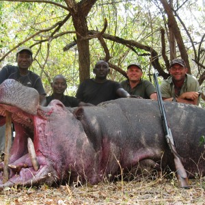 Hunting Hippo in Tanzania