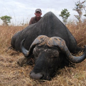 Old loner Buffalo from the Selous Tanzania