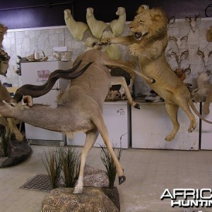 Lion Kudu taxidermy scene by The Artistry of Wildlife