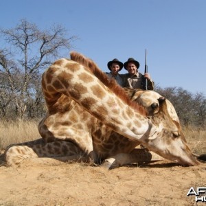 Giraffe South Africa