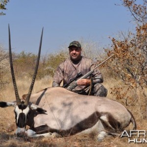 Gemsbok cow Namibia Hunt